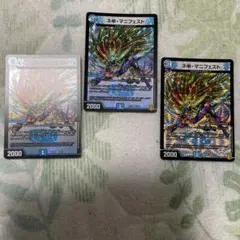 カリスマ　マニフェスト