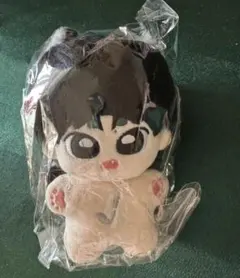 王一博20cmぬいぐるみ 肖战ぬいぐるみ YiBo 5体 - メルカリ