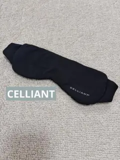 Item thumbnail for item 16f1e7a9-5146-44e8-bd40-5f71e620ee61