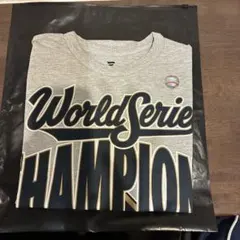 Item thumbnail for item 80c70e4f-47cd-40d2-8cdf-6d0908217bbf