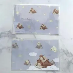 同柄2枚セット★ディズニーチップ＆デールマイナンバーカードケース