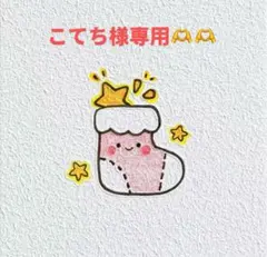 こてち様 リクエスト 2点 まとめ商品
