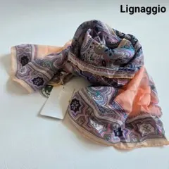 Item thumbnail for item 229a775f-db5b-4d0d-9600-c63061eacd70