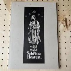 Item thumbnail for item 89790224-d486-4ff1-83b1-c1f23a076ba0