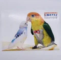 Item thumbnail for item c7b66c51-cfea-4192-a187-e851cdb9a3ee