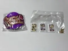 アイカツ グッズコレクション ラバーコースター カードミニチュアチャーム