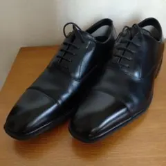 Item thumbnail for item 385d0dd1-93e5-4bcb-b40a-1b39de199dcc