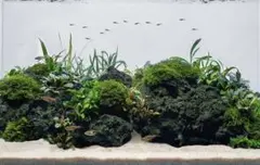 たこみ様 リクエスト 2点 まとめ商品