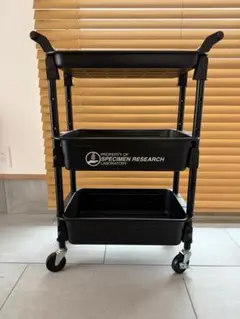 BAPE X TOYO STEEL - WAGON - メルカリ