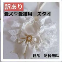 Item thumbnail for item cf6c90e7-e4ba-4d83-9968-8de49fa04be6