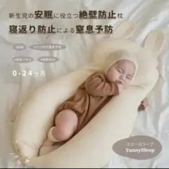 Item thumbnail for item 130d0bf1-68a1-4e20-ad50-e9a34ea60700