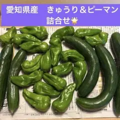 愛知県産 きゅうり＆ピーマン詰合せ⭐︎ ネコポス発送！　　購入後収穫します！のサムネイル