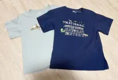 UNIQLO ユニクロ 半袖Tシャツ(アニマル)2枚セット120サイズ