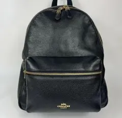 お値下げしました！コーチ黒色リュック