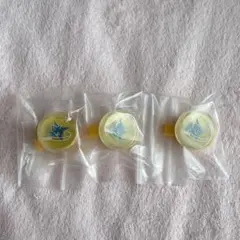 椎名ニキ　スタライ8th リンライ