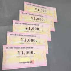 ビックカメラ　株主優待券5000円分