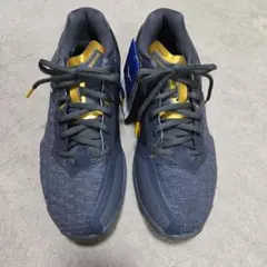 Item thumbnail for item 4980fac9-6408-4de1-b905-467407d15686