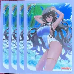 2026年最新】幻耀の魔導姫 ルーテシア LSRの人気アイテム - メルカリ