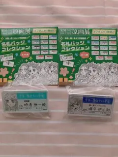 鬼滅の刃　吾峠呼世晴原画展キメツ学園名札バッジコレクション　伊之助　時透無一郎
