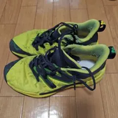 Item thumbnail for item e1ebc1ed-d3d1-4896-b47b-3de456e05715