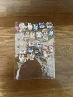 柴犬　ボンボンドロップシール　シール帳　リフィル付き