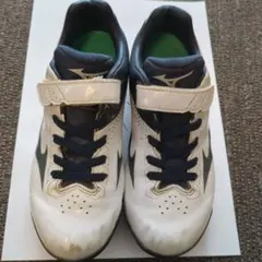 Item thumbnail for item 71312941-3c4d-41dd-9efd-906410966be3