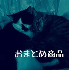 ゆらゆら様 リクエスト 3点 まとめ商品