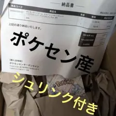 ポケセン産 テラスタルフェスex box