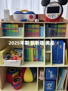 2025年 DWE ミッキーパッケージ ほぼ未使用