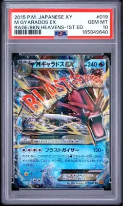 PSA9】MギャラドスEX SR XY9 破天の怒り 082/080 - メルカリ