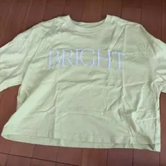 BRIGHT 刺繍 Tシャツ Lサイズ ライトイエロー