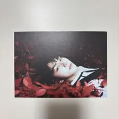 ENHYPEN DARK BLOOD ポストカード ジョンウォン