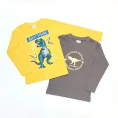 男の子 子供服 100cm 長袖 Tシャツ 新品 恐竜 まとめ売り GWN1-1