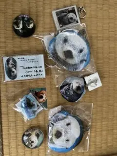 激レア‼️ キイロイトリ マラカス ぬいぐるみ ハッピーレインボー