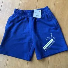 Item thumbnail for item 4b7a49c6-6810-4ed2-876c-d2502f89fc5d