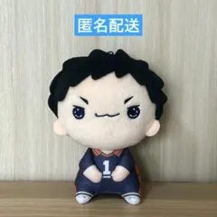 ☆匿名配送☆ ハイキュー もちぴこぬいぐるみ5 澤村大地
