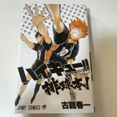 ハイキュー!!コンプリートガイドブック 排球本！