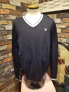 「AMERICAN EAGLE」アメリカンイーグル Vネック ニット