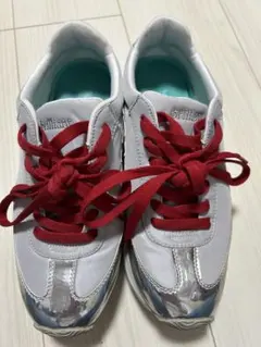 Item thumbnail for item 2d4d525f-525d-4cde-ba11-b019a9b1992d