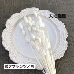 Item thumbnail for item b8156844-bfc5-4b10-884d-12f3f6c0b580