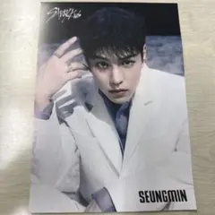 Stray Kids スキズ  GIANTスンミン　タワレコ　フライヤー