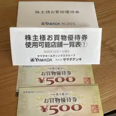 ヤマダ電気お買物優待券1000円分