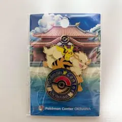 2026年最新】ポケモンセンターオキナワ ピンズの人気アイテム - メルカリ