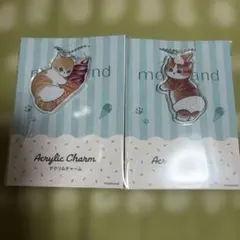mofusand アクリルチャームセット 2個セット ファミマ限定
