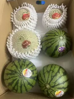 産地直送！メロンセット❗️甘くて美味しい❗️6玉入り！箱込み5キロ