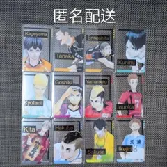 【N様専用】ハイキュー!!　ファンパーク　箔押しクリアカードコレクション