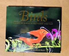 鳥/写真集/海外購入本/Biras