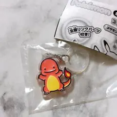 ポケモン ヒトカゲ つやふるチャームマスコット　ガチャ