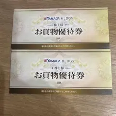 ヤマダ電気 お買い物券 10000円分