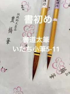 Item thumbnail for item 00f78222-bfcc-4e7e-9072-7b28b58e1a4a